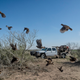 Illustration for article titled These Are The Insane Trucks Texans Use To Hunt Birds